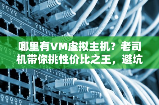 哪里有VM虚拟主机？老司机带你挑性价比之王，避坑指南+实测推荐！
