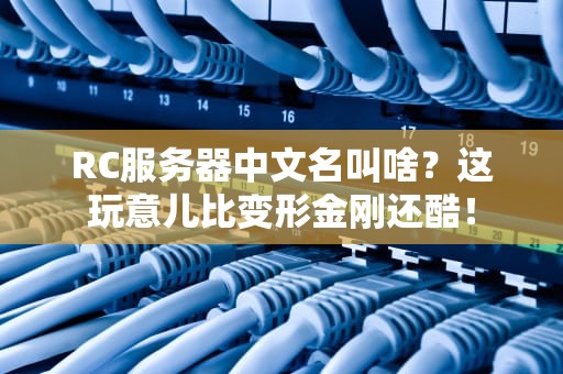 RC服务器中文名叫啥？这玩意儿比变形金刚还酷！