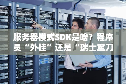服务器模式SDK是啥？程序员“外挂”还是“瑞士军刀”？5分钟带你搞懂！