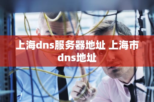 上海dns服务器地址 上海市dns地址