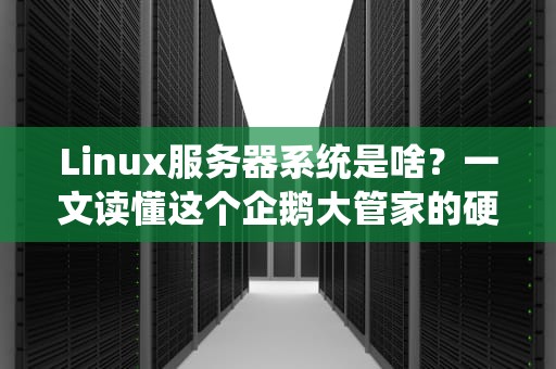 Linux服务器系统是啥？一文读懂这个企鹅大管家的硬核实力！