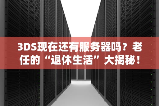 3DS现在还有服务器吗？老任的“退休生活”大揭秘！