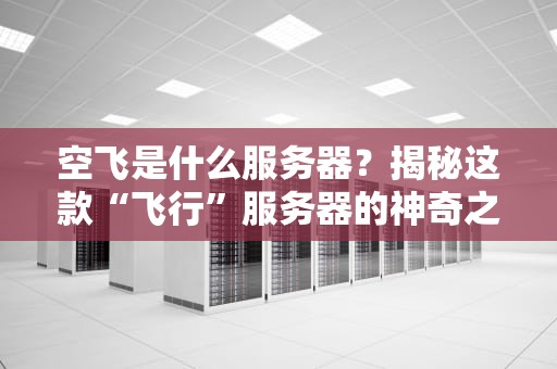 空飞是什么服务器？揭秘这款“飞行”服务器的神奇之处！