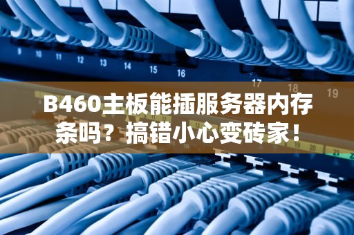 B460主板能插服务器内存条吗？搞错小心变砖家！