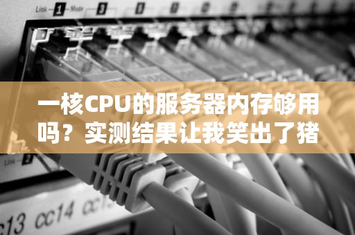 一核CPU的服务器内存够用吗？实测结果让我笑出了猪叫！