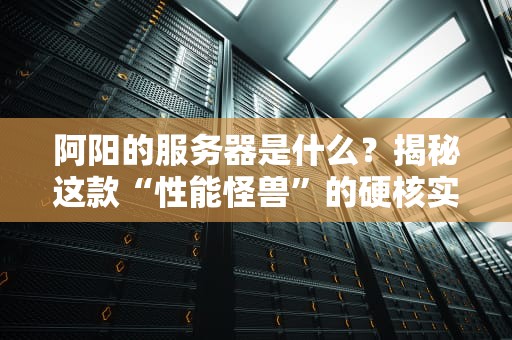 阿阳的服务器是什么？揭秘这款“性能怪兽”的硬核实力与骚操作！
