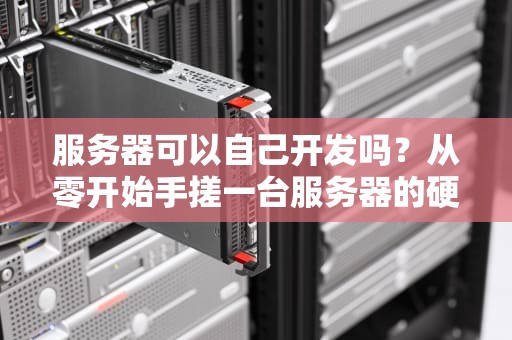 服务器可以自己开发吗？从零开始手搓一台服务器的硬核指南！