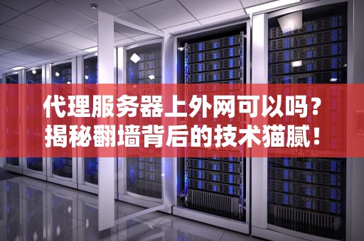 代理服务器上外网可以吗？揭秘翻墙背后的技术猫腻！