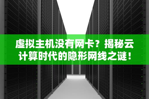 虚拟主机没有网卡？揭秘云计算时代的隐形网线之谜！