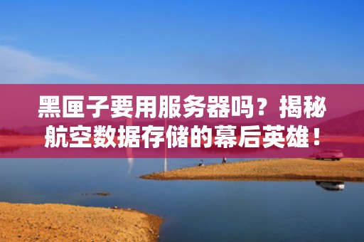 黑匣子要用服务器吗？揭秘航空数据存储的幕后英雄！