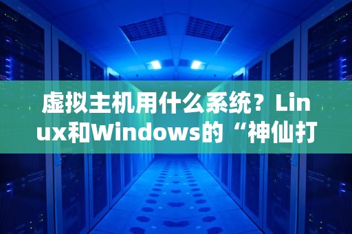 虚拟主机用什么系统？Linux和Windows的“神仙打架”现场实录！