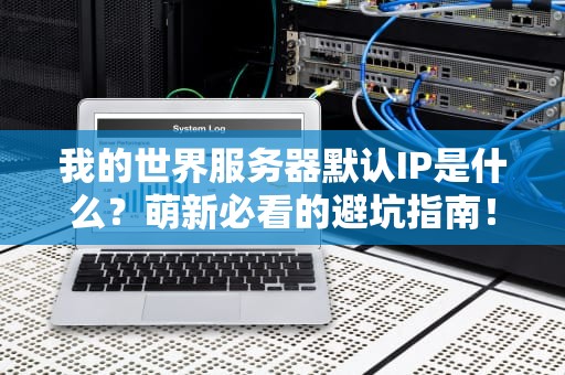 我的世界服务器默认IP是什么？萌新必看的避坑指南！