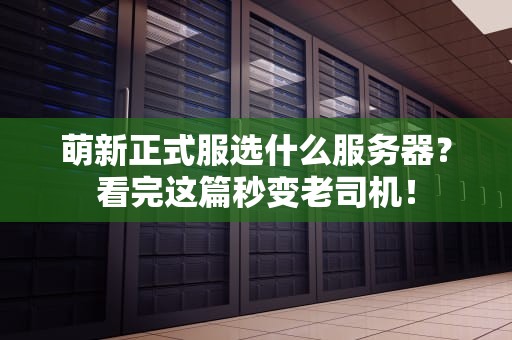 萌新正式服选什么服务器？看完这篇秒变老司机！