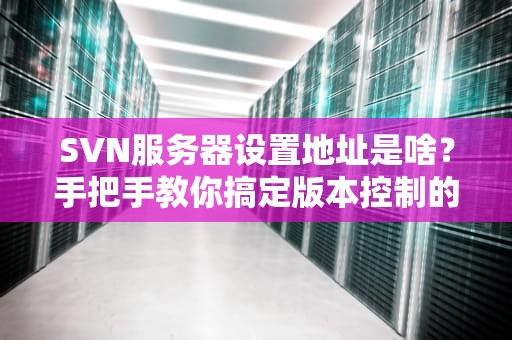 SVN服务器设置地址是啥？手把手教你搞定版本控制的家庭住址！