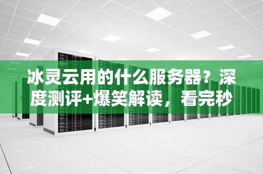 冰灵云用的什么服务器？深度测评+爆笑解读，看完秒懂！