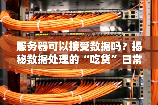 服务器可以接受数据吗？揭秘数据处理的“吃货”日常！