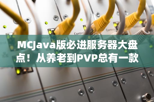 MCJava版必进服务器大盘点！从养老到PVP总有一款适合你