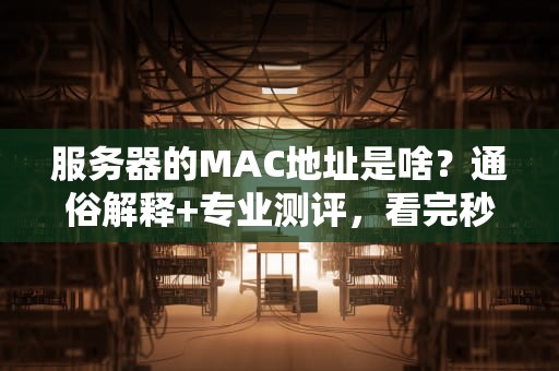 服务器的MAC地址是啥？通俗解释+专业测评，看完秒懂！