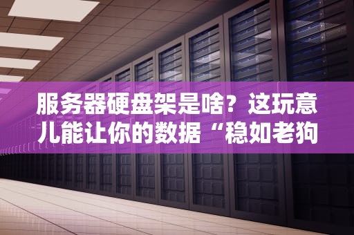服务器硬盘架是啥？这玩意儿能让你的数据“稳如老狗”！