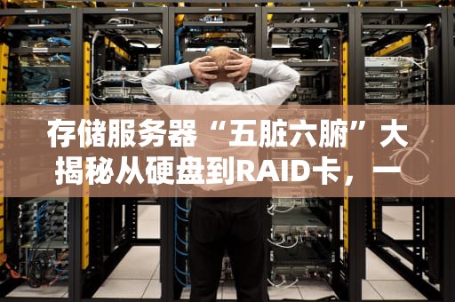 存储服务器“五脏六腑”大揭秘从硬盘到RAID卡，一文看懂你的数据仓库！