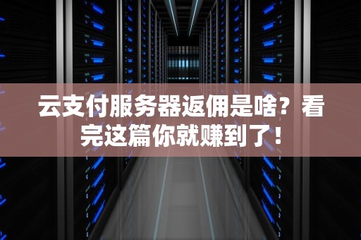 云支付服务器返佣是啥？看完这篇你就赚到了！