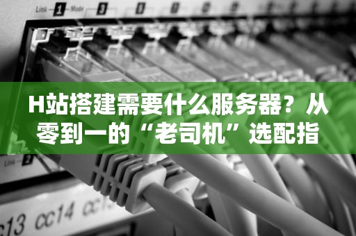 H站搭建需要什么服务器？从零到一的“老司机”选配指南！