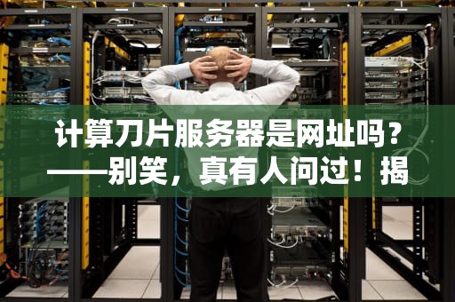 计算刀片服务器是网址吗？——别笑，真有人问过！揭秘刀片服务器的“硬核身份”