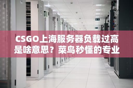 CSGO上海服务器负载过高是啥意思？菜鸟秒懂的专业科普！