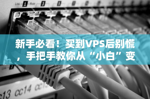 新手必看！买到VPS后别慌，手把手教你从“小白”变“大神”（附骚操作）
