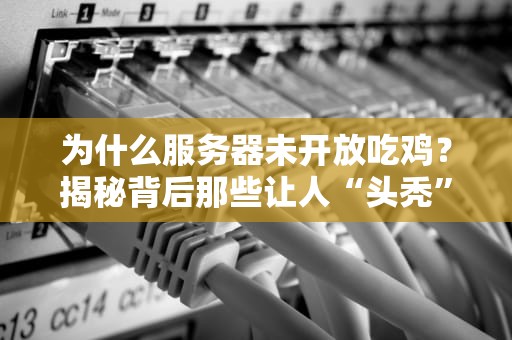 为什么服务器未开放吃鸡？揭秘背后那些让人“头秃”的技术难题