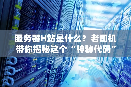 服务器H站是什么？老司机带你揭秘这个“神秘代码”背后的真相！