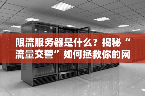 限流服务器是什么？揭秘“流量交警”如何拯救你的网站崩溃危机！