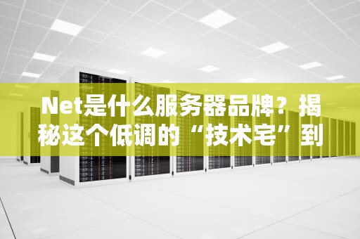 Net是什么服务器品牌？揭秘这个低调的“技术宅”到底有多硬核！