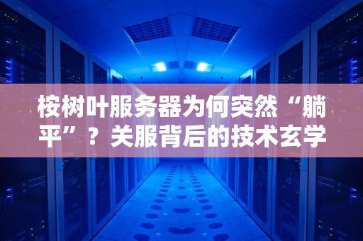 桉树叶服务器为何突然“躺平”？关服背后的技术玄学与人间真实