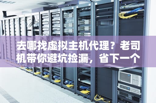 去哪找虚拟主机代理？老司机带你避坑捡漏，省下一个亿！