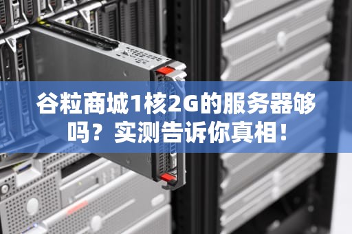 谷粒商城1核2G的服务器够吗？实测告诉你真相！