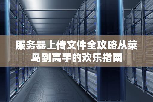 服务器上传文件全攻略从菜鸟到高手的欢乐指南