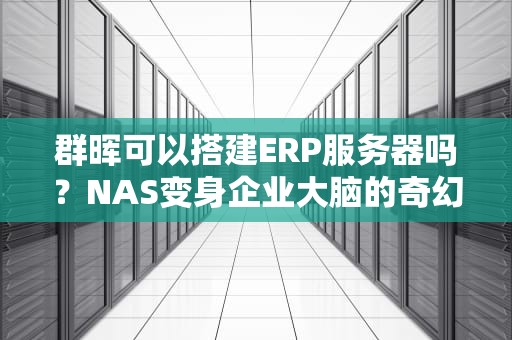 群晖可以搭建ERP服务器吗？NAS变身企业大脑的奇幻冒险