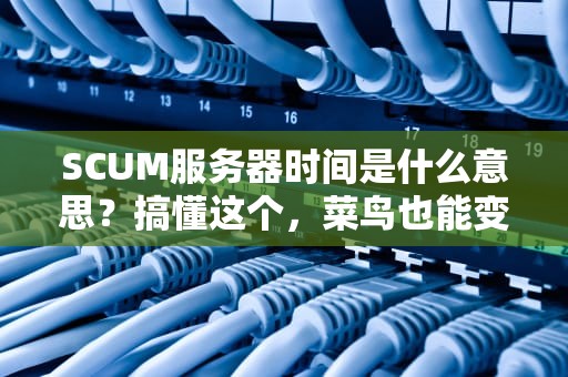 SCUM服务器时间是什么意思？搞懂这个，菜鸟也能变大神！