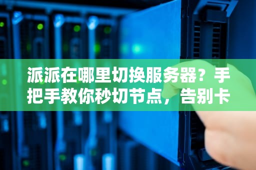派派在哪里切换服务器？手把手教你秒切节点，告别卡顿！