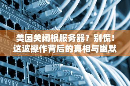 美国关闭根服务器？别慌！这波操作背后的真相与幽默解读