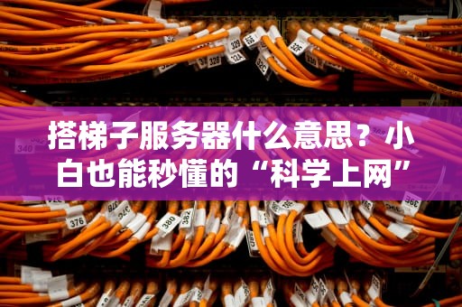 搭梯子服务器什么意思？小白也能秒懂的“科学上网”指南！