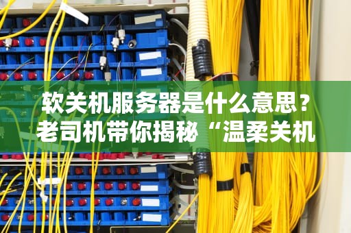 软关机服务器是什么意思？老司机带你揭秘“温柔关机”的黑科技！
