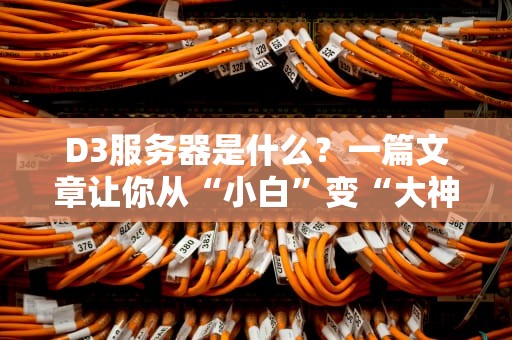 D3服务器是什么？一篇文章让你从“小白”变“大神”（附性能实测）
