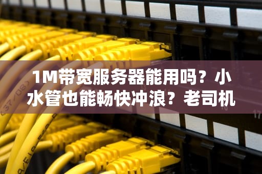 1M带宽服务器能用吗？小水管也能畅快冲浪？老司机实测告诉你真相！