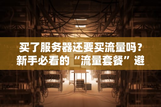 买了服务器还要买流量吗？新手必看的“流量套餐”避坑指南！