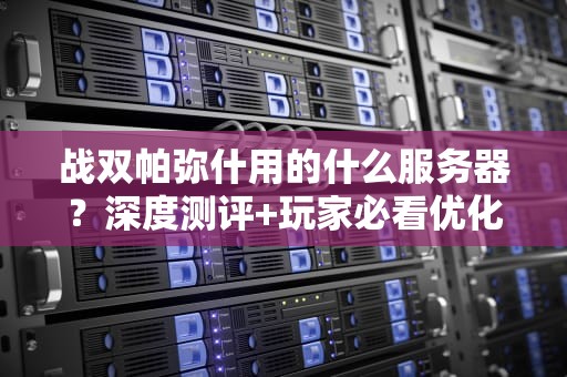 战双帕弥什用的什么服务器？深度测评+玩家必看优化指南！