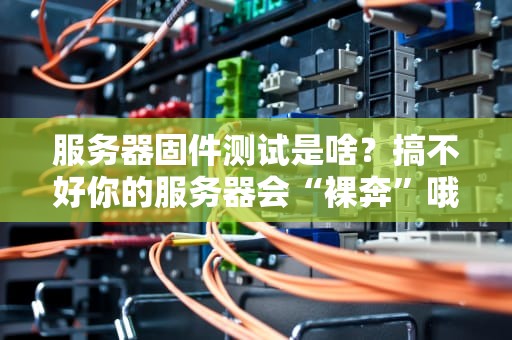 服务器固件测试是啥？搞不好你的服务器会“裸奔”哦！