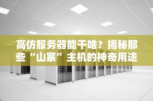 高仿服务器能干啥？揭秘那些“山寨”主机的神奇用途！