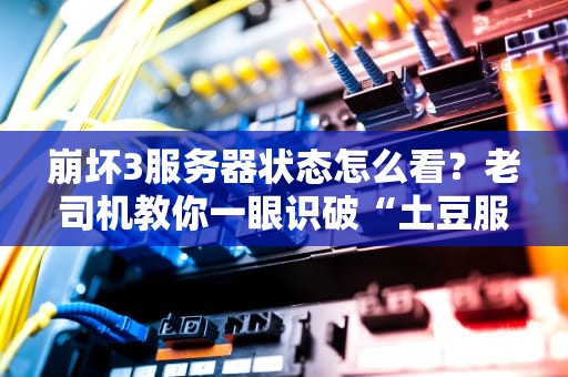 崩坏3服务器状态怎么看？老司机教你一眼识破“土豆服务器”！（附专业测评技巧）